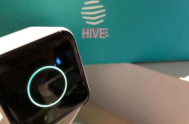 Hive View: what it is and how it works