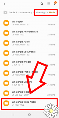 Dossier enregistrer les audios WhatsApp