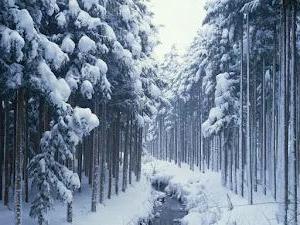 Most beautiful winter wallpapers for PC with snow and ice