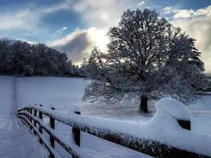 Los fondos de pantalla de invierno más hermosos para PC con nieve y hielo