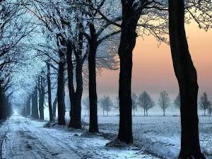 Most beautiful winter wallpapers for PC with snow and ice