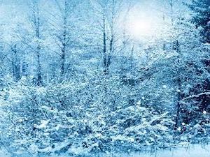 Most beautiful winter wallpapers for PC with snow and ice