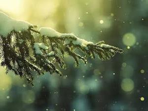 Most beautiful winter wallpapers for PC with snow and ice