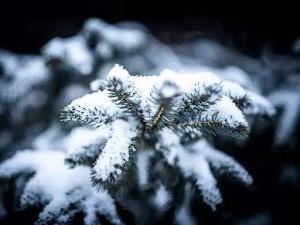 Los fondos de pantalla de invierno más hermosos para PC con nieve y hielo