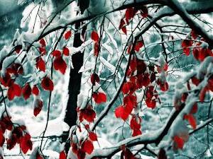 Most beautiful winter wallpapers for PC with snow and ice