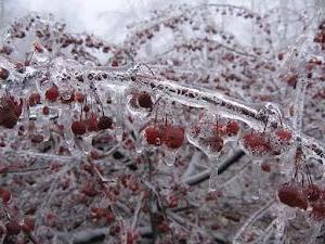 Os mais bonitos papéis de parede de inverno para PC com neve e gelo