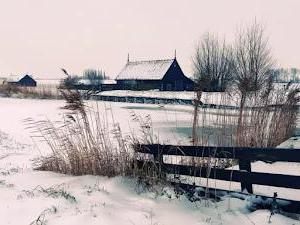 Les plus beaux fonds d'écran d'hiver pour PC avec neige et glace