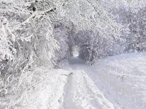 Los fondos de pantalla de invierno más hermosos para PC con nieve y hielo