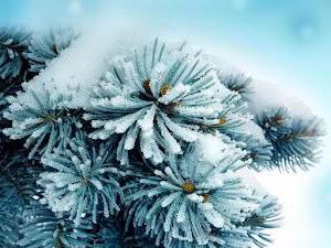 Most beautiful winter wallpapers for PC with snow and ice