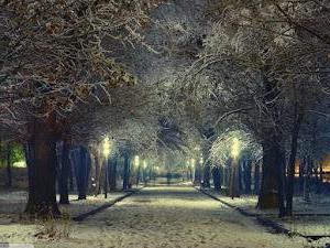 Most beautiful winter wallpapers for PC with snow and ice