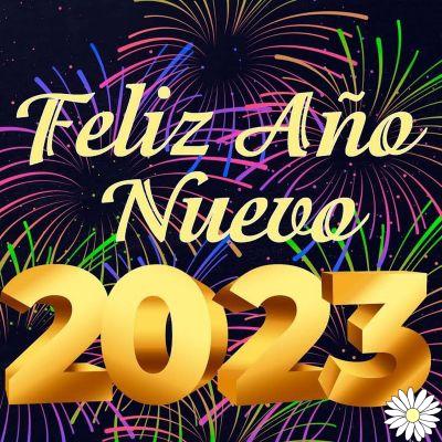 Phrases to congratulate New Year's Eve happy new year 2023 whatsapp