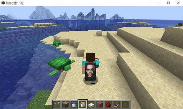 Cómo conseguir la capa en Minecraft