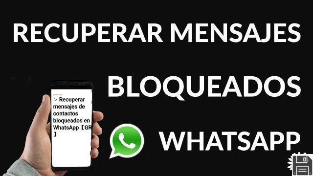 Recuperar conversas excluídas bloqueadas entre em contato com o Whatsapp