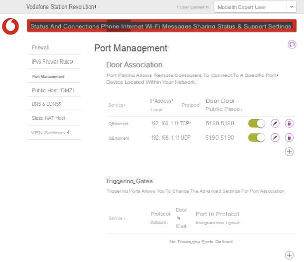 How to open the ports of the Vodafone router