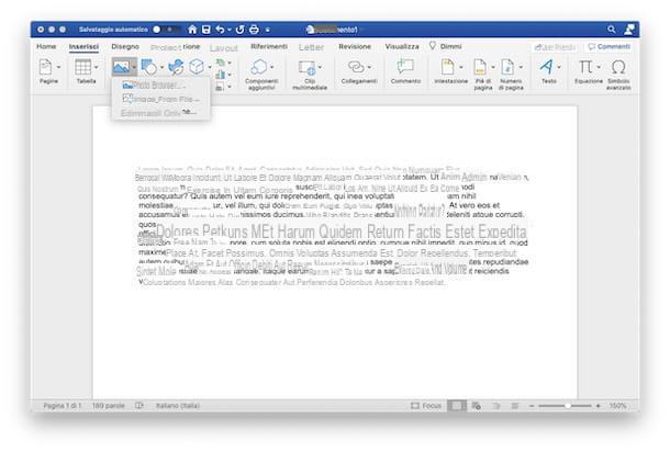 How to insert a picture in Word