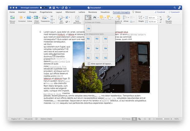 How to insert a picture in Word