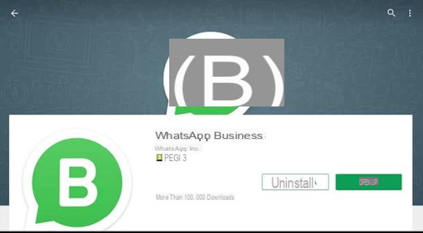 WhatsApp Business : qu'est-ce que c'est et comment ça marche