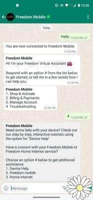 Contact du service client WhatsApp
