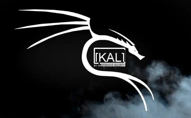 Cómo usar Kali Linux