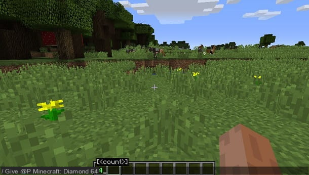 How to have infinite diamonds in Minecraft