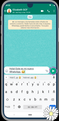 Envoyer un e-mail WhatsApp